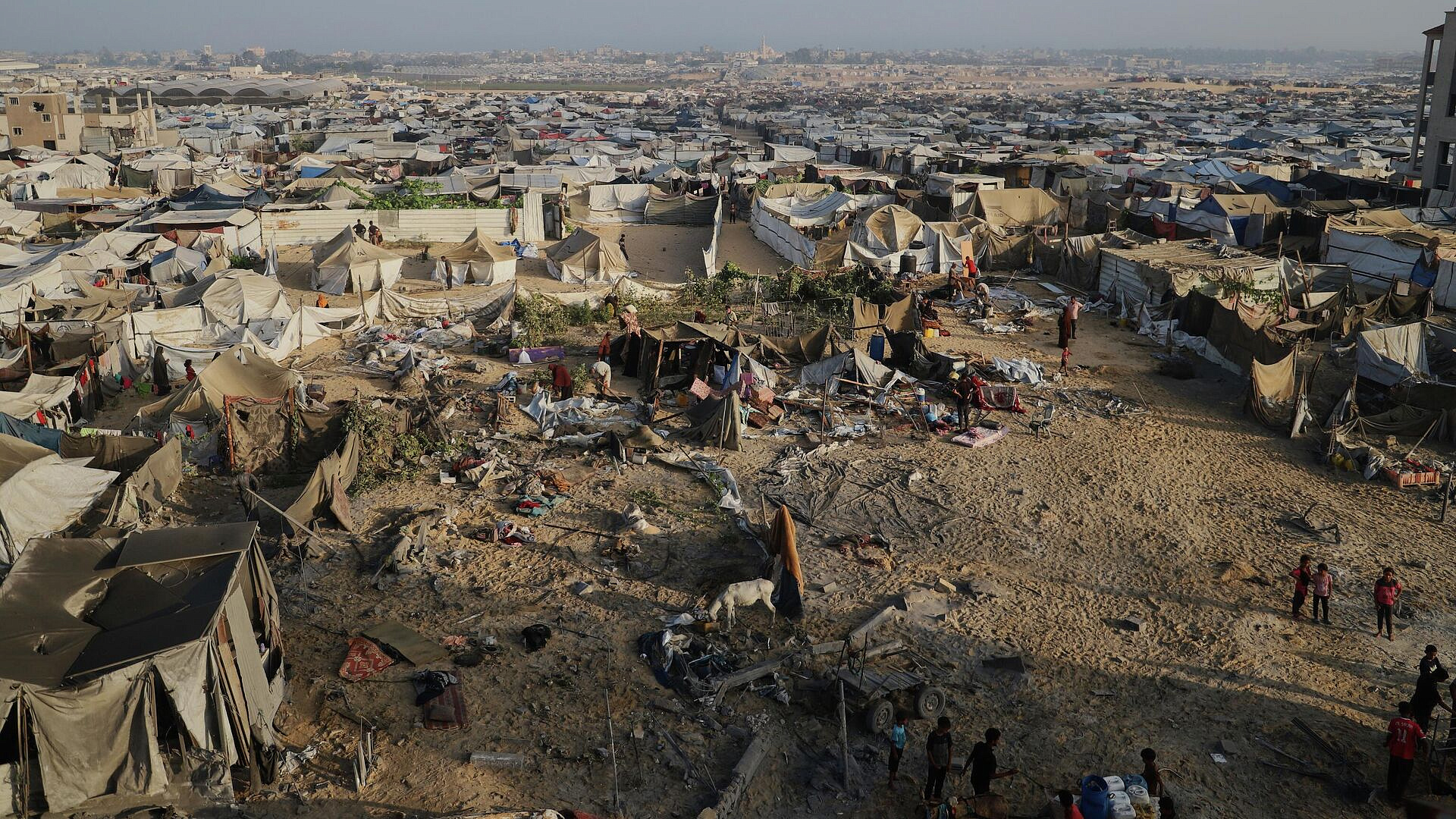 ����� 50 ������� ������� � ������� ���� �� �����