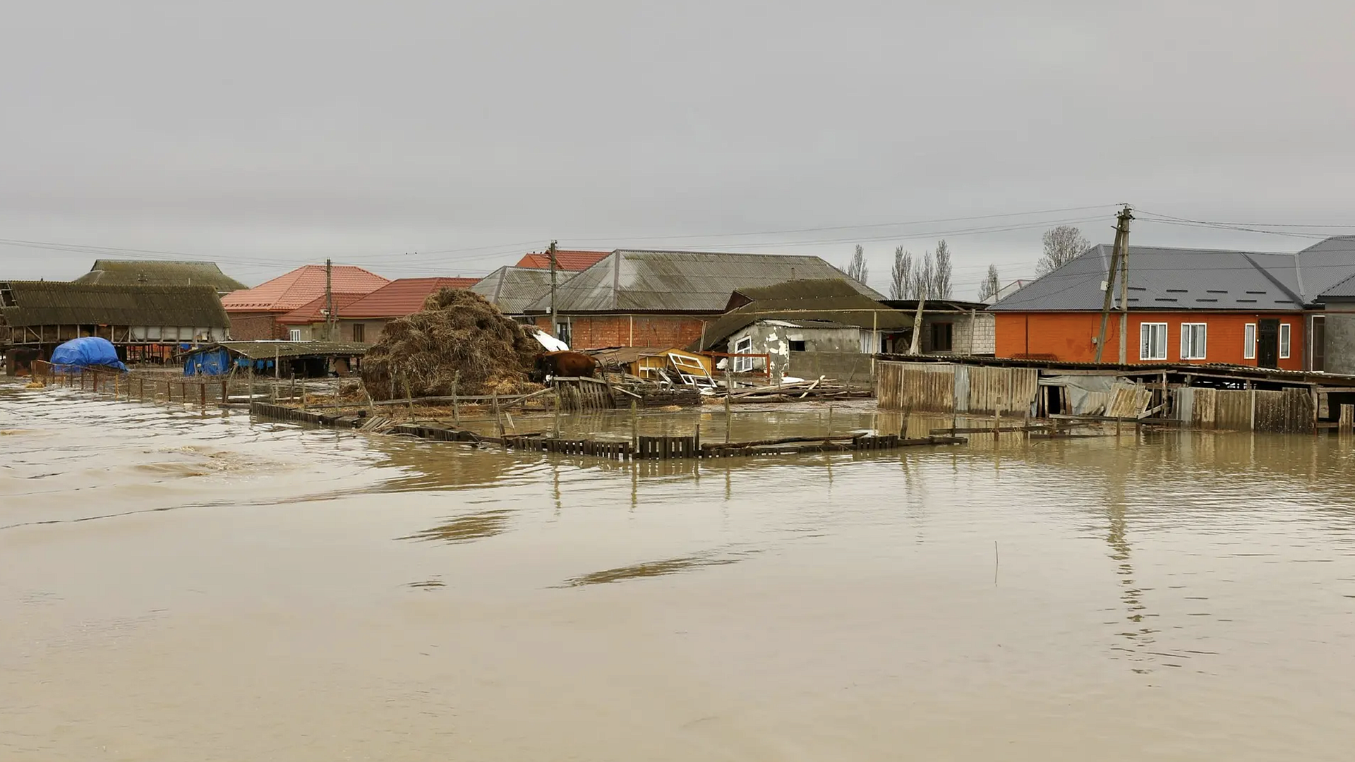 Лут назвала сумму ущерба сельскому хозяйству от паводка в Дагестане
