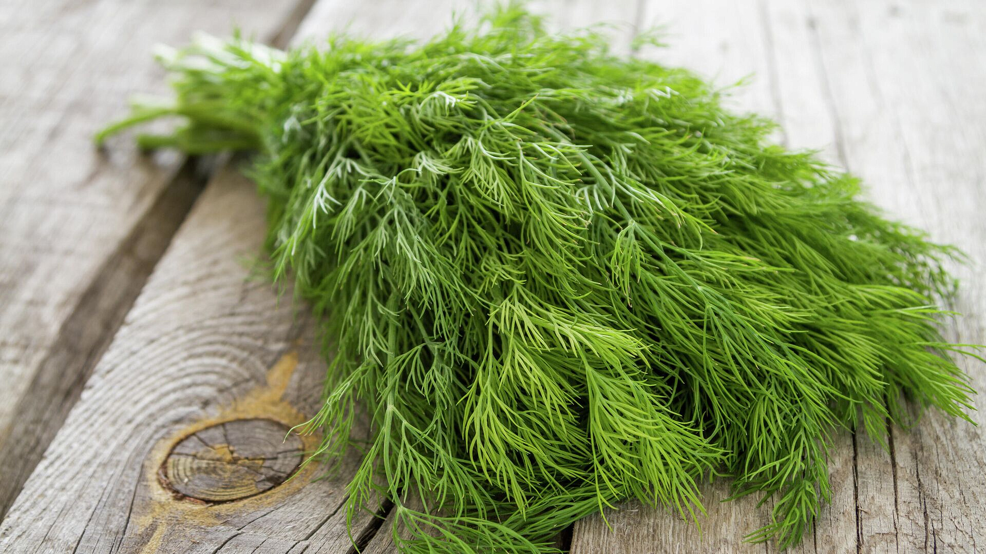 Врач назвала продукт, который помогает предотвратить онкологию