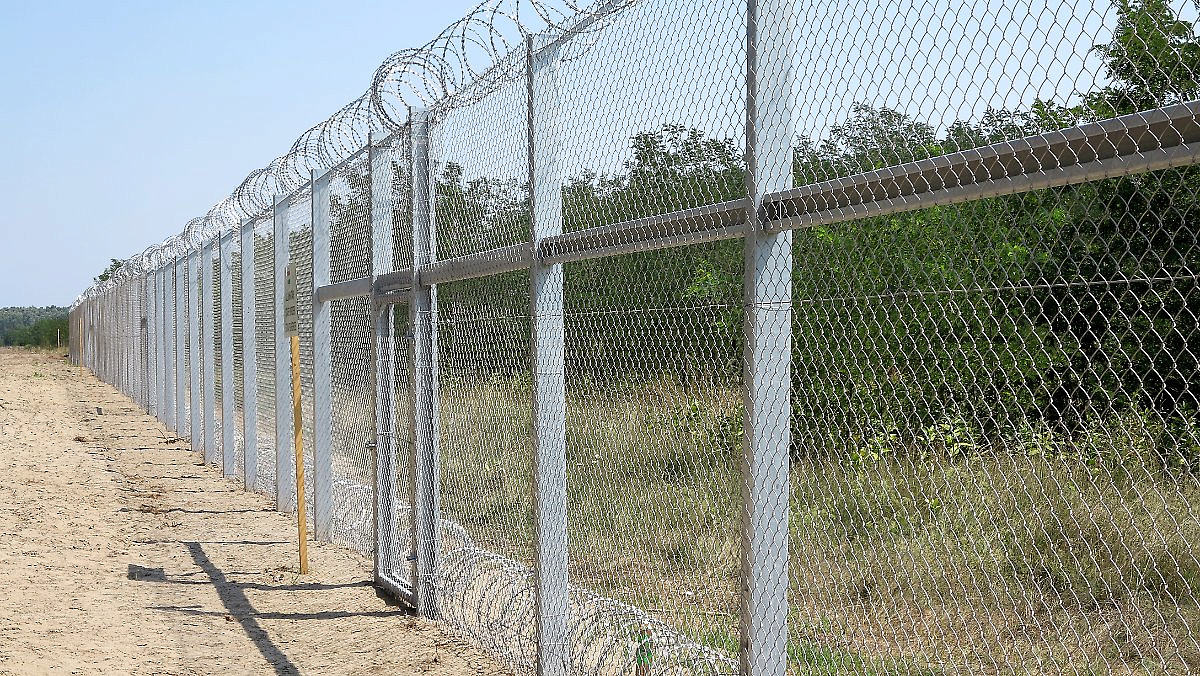 ����� ����������� �� �������� �������