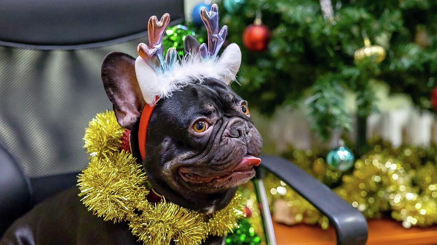 � ���������� ����������� ���������� ����� "���� ��� �������"