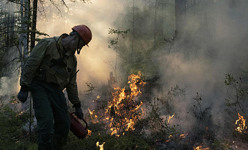 В России за сутки потушили 42 природных пожара