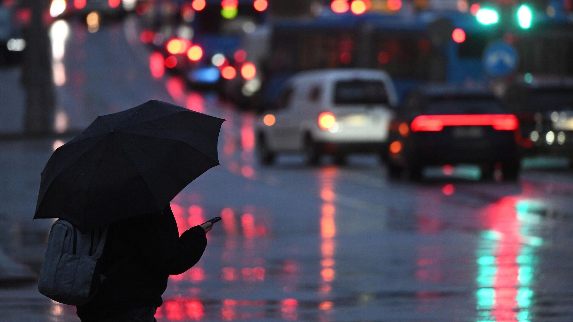 Москвичей предупредили о сильных ливнях и грозах в понедельник