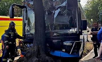 Автобус, попавший в ДТП на юге Москвы, въехал в дерево