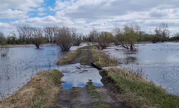 На реке Иртыш в Тюменской области начался паводок