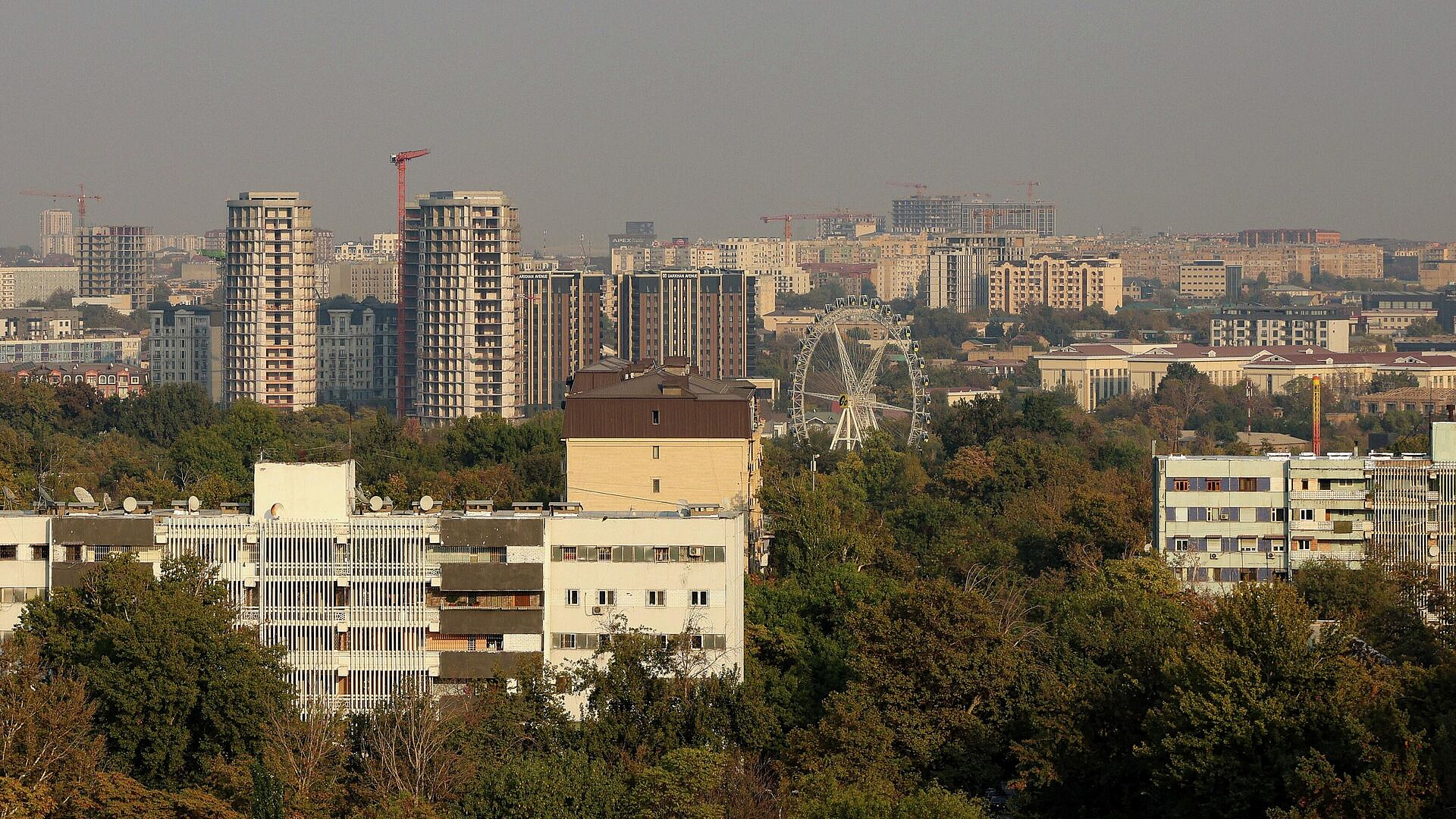 Туристка рассказала, как решила поменять пляжи Дубая на плов Ташкента