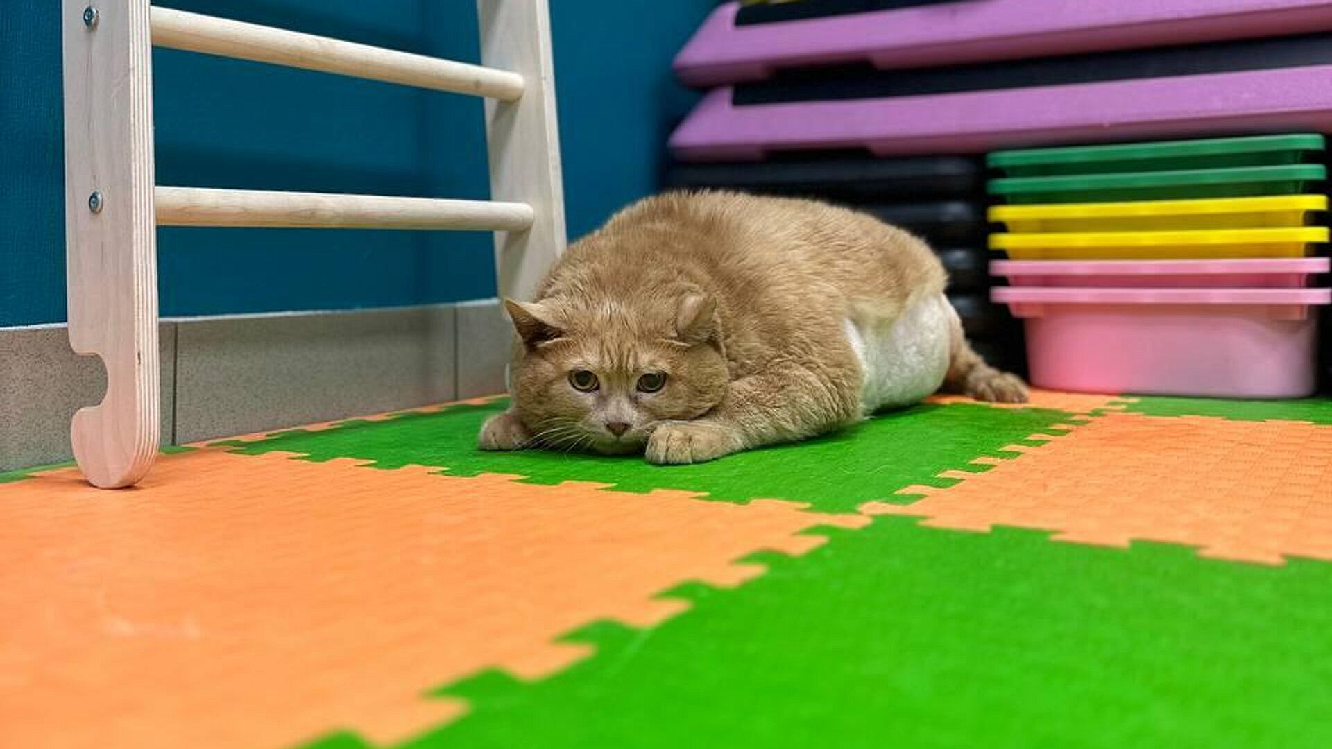 ���������� �������� ��� ������ ����� ������