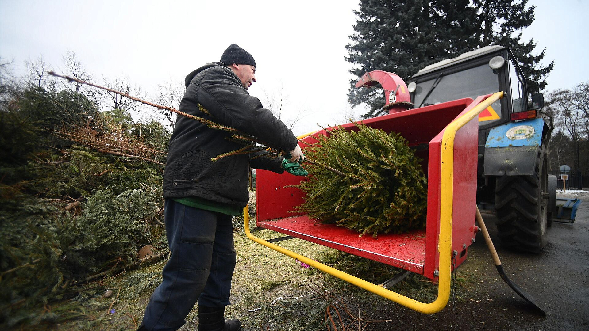 "��� �����" � "������� ����������" ������� ��������� ������������� ����