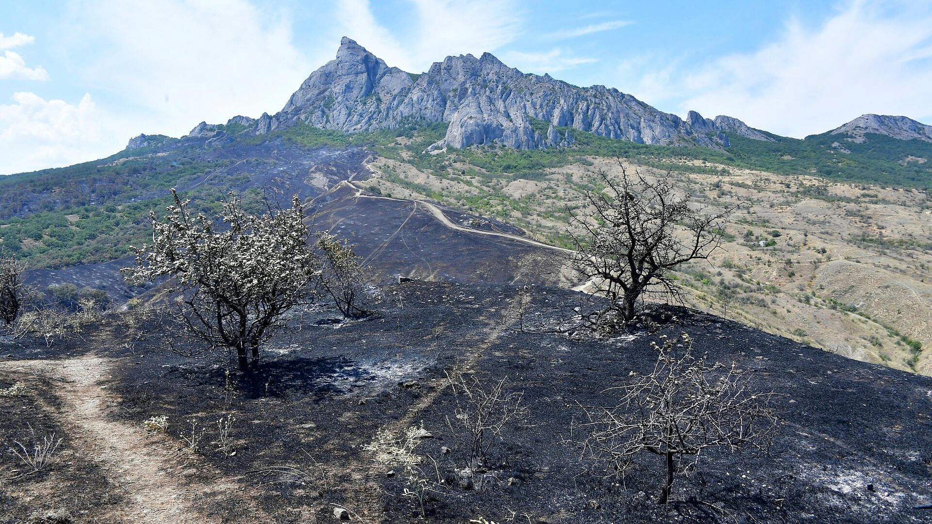 На Карадагский заповедник в Крыму сбросили около 400 тонн воды