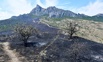 На Карадагский заповедник в Крыму сбросили около 400 тонн воды
