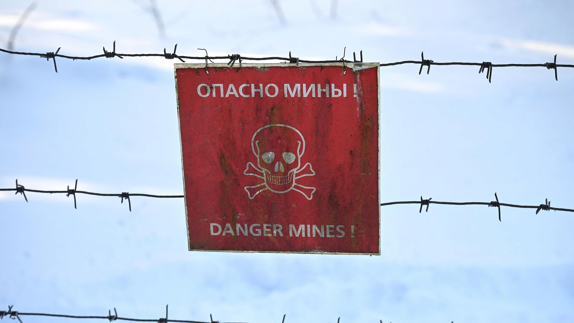 ������ ������������� 53 ���������� ������ � ����������� ������� �������