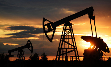 В АЭИ оценили перспективы отказа Индии от российской нефти