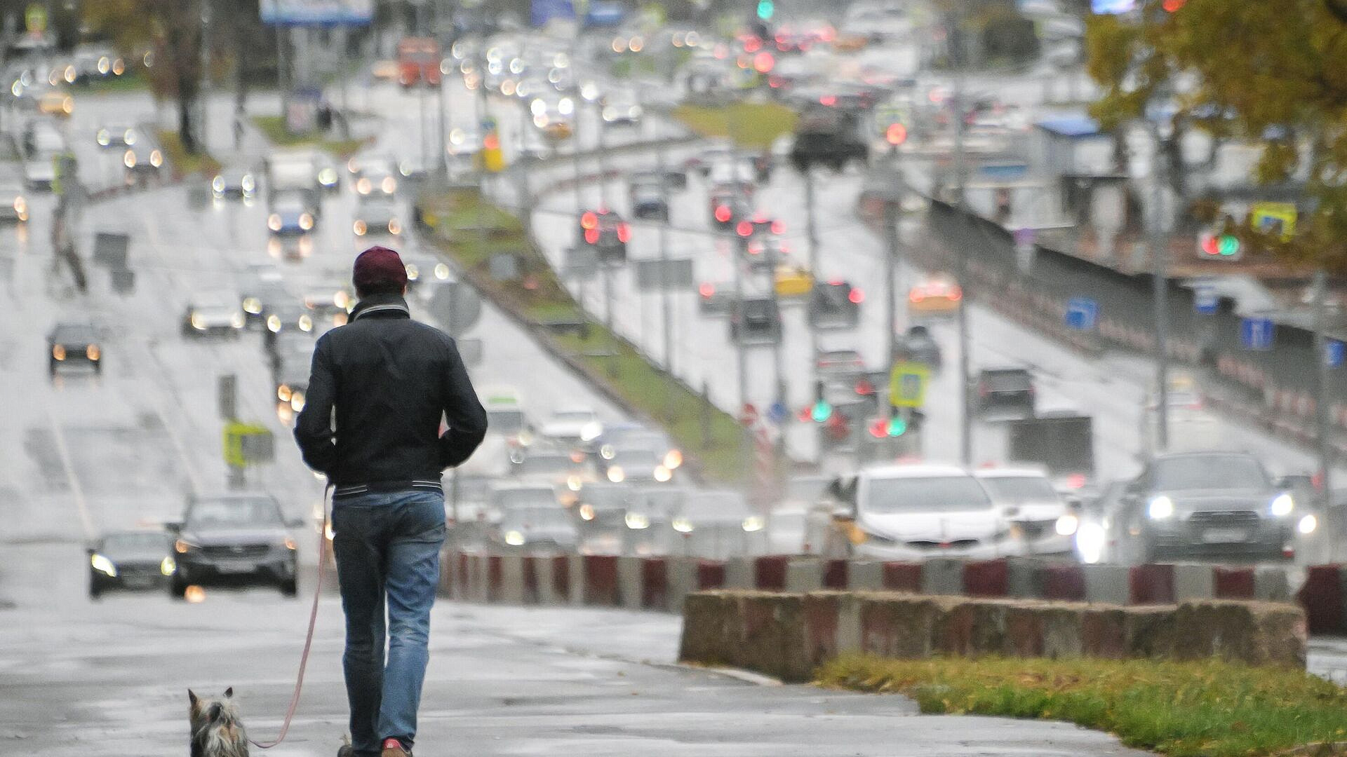 В США выпустят таблетки для продления жизни собак, пишет Guardian