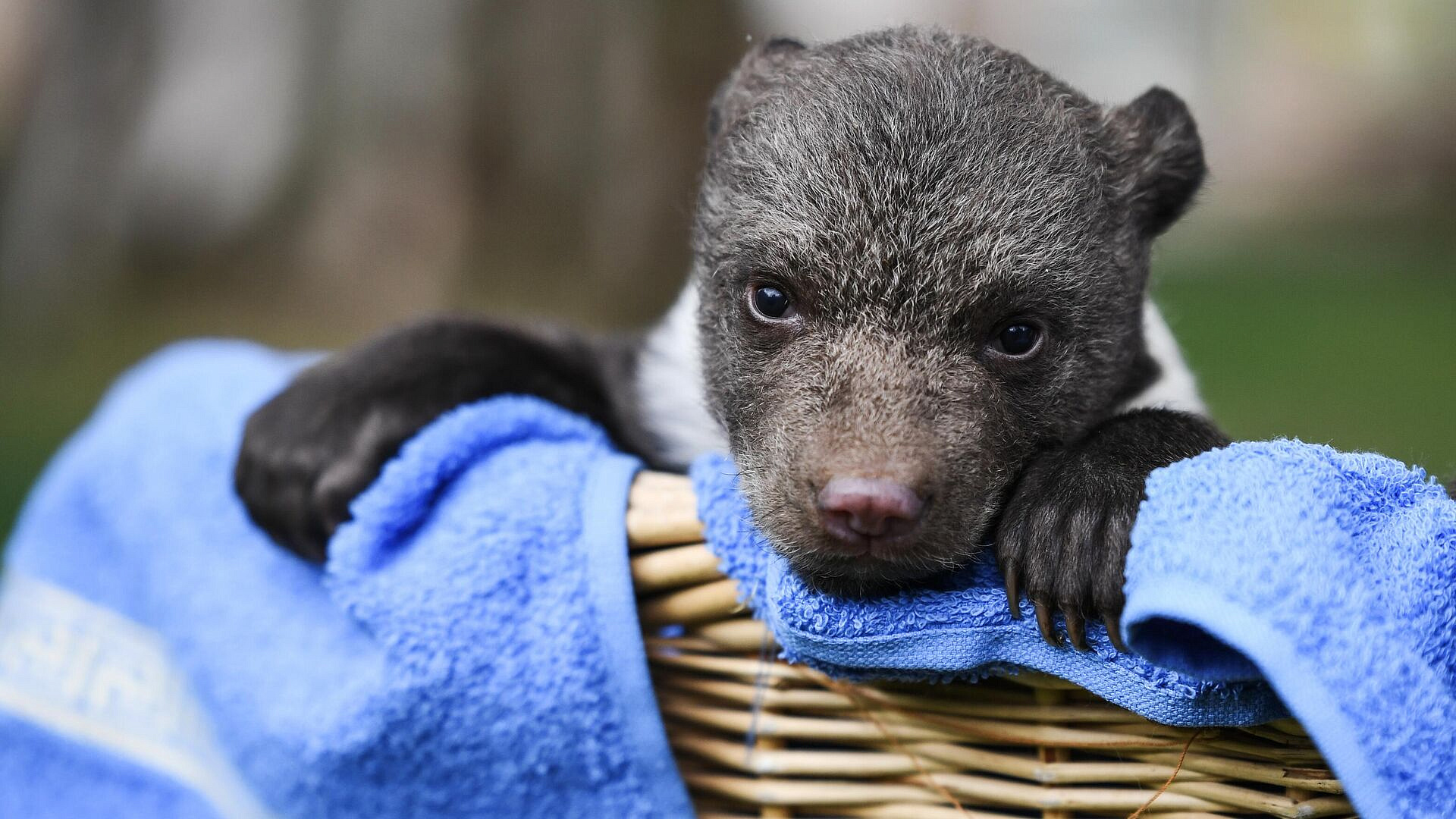 � �������� �������� ���������� ����� ��������� ������� ����� �� �������