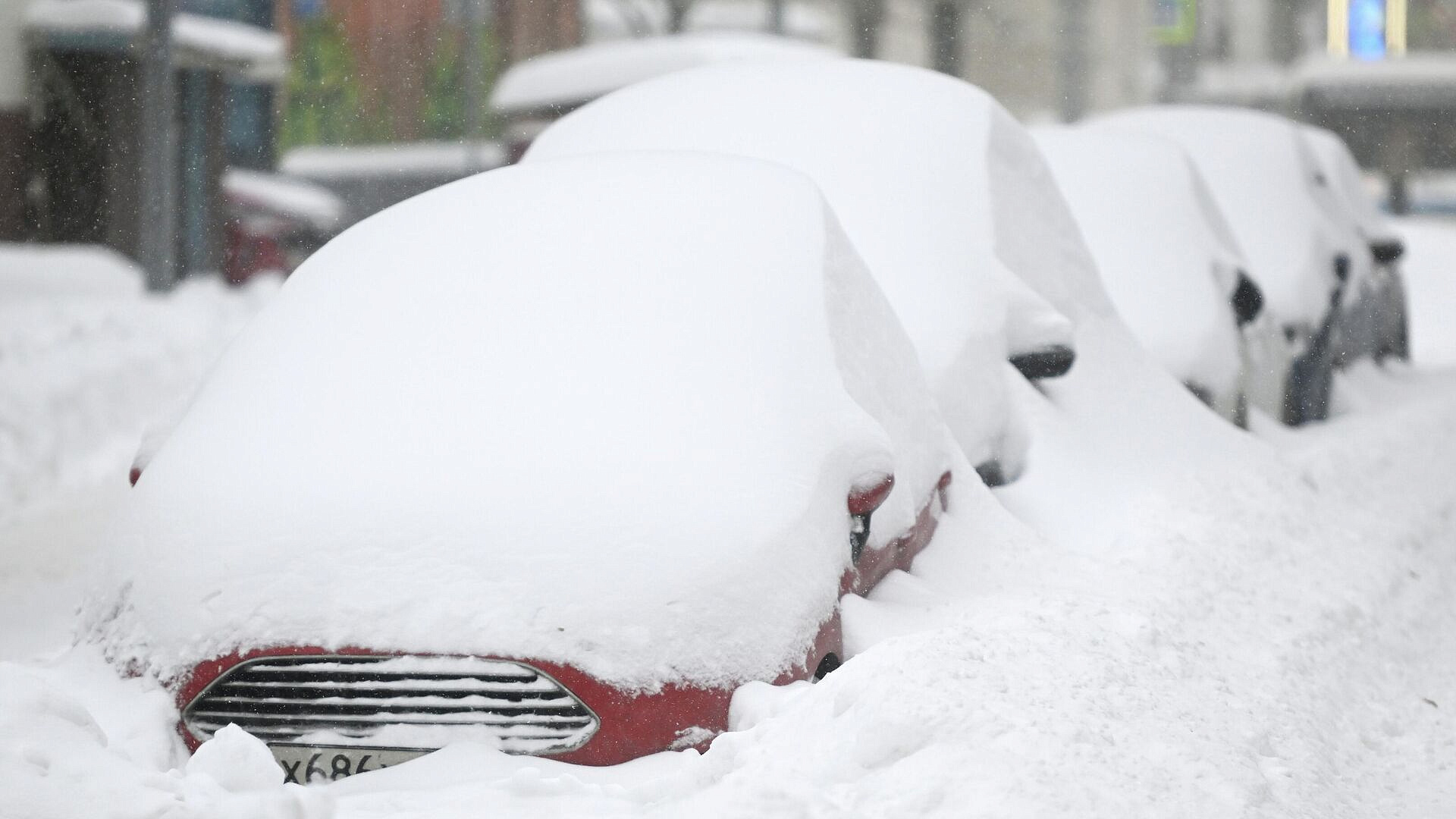 � ������� ����������, ��� ����� ������ ������������ �� �������� ������