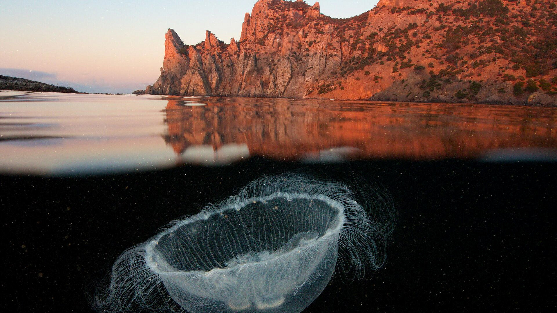 ���������� ������������ �� �������� ����� �� �������� ��-�� ������ �����