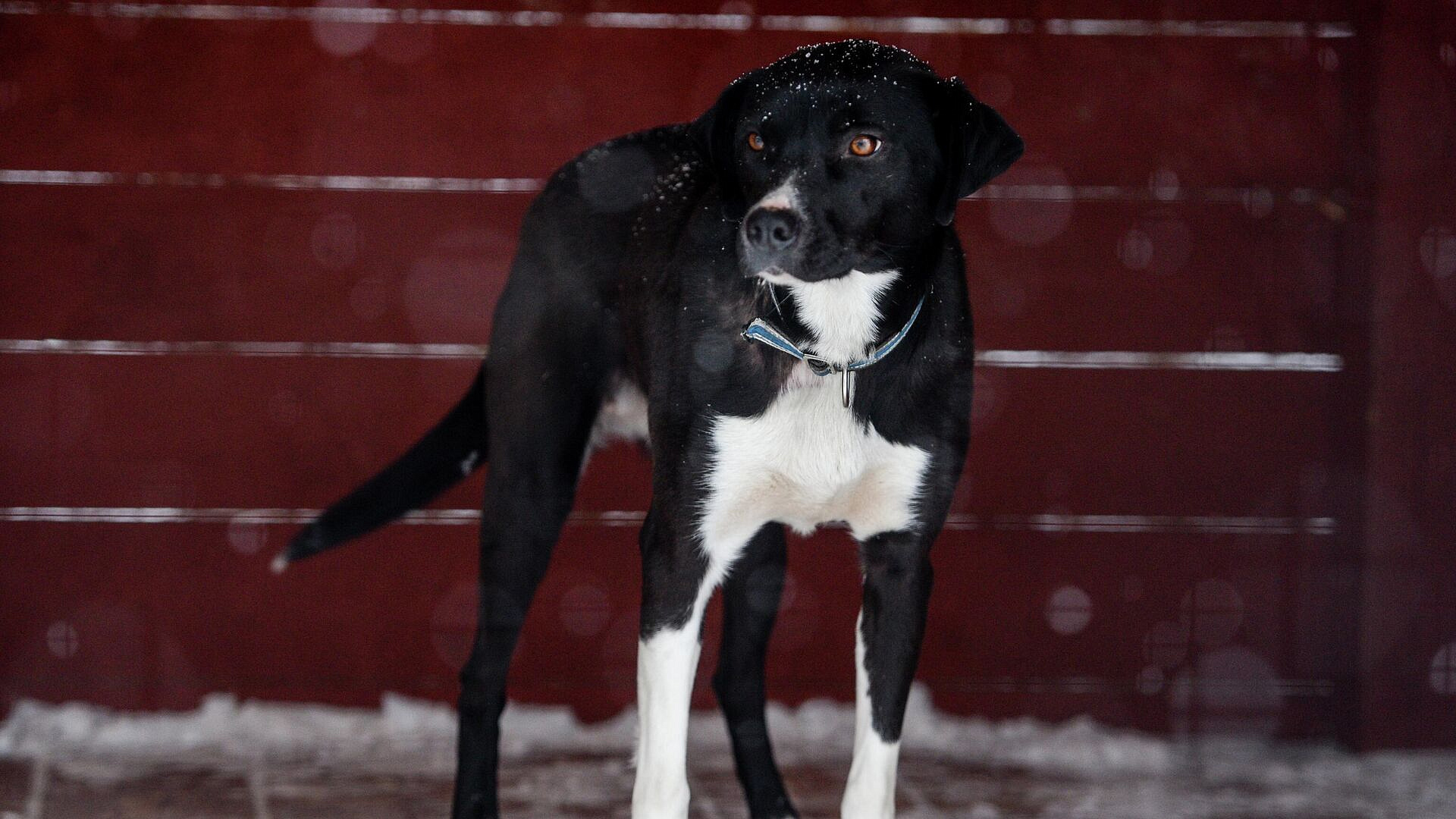 ������� ���������, ��� ��������� ������ � �������