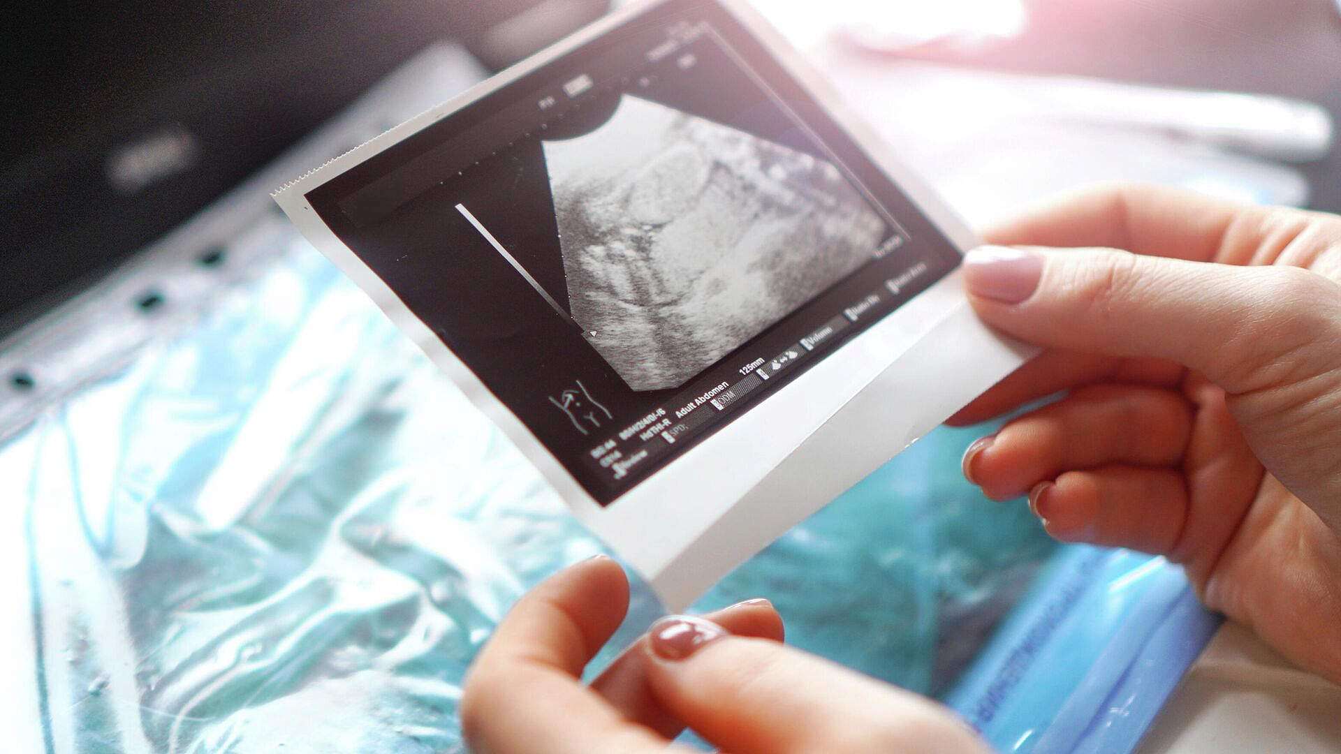 ������ ��������, ������ � ������ ��������� ������������� ��������������