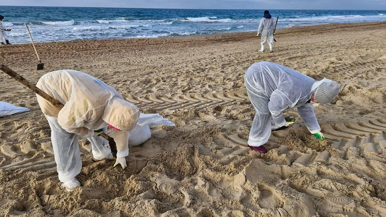 С пляжей Севастополя вывезли более 11 тонн загрязненного грунта