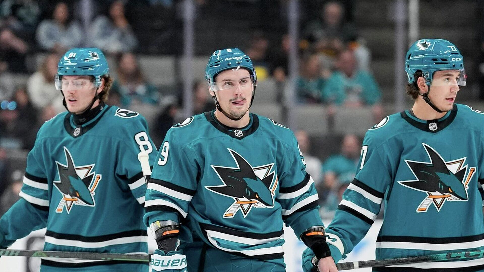 "���-���� �����" ������� "������� ������" � ����� ���