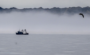 В Японии нашли останки россиянина, пропавшего семь лет назад