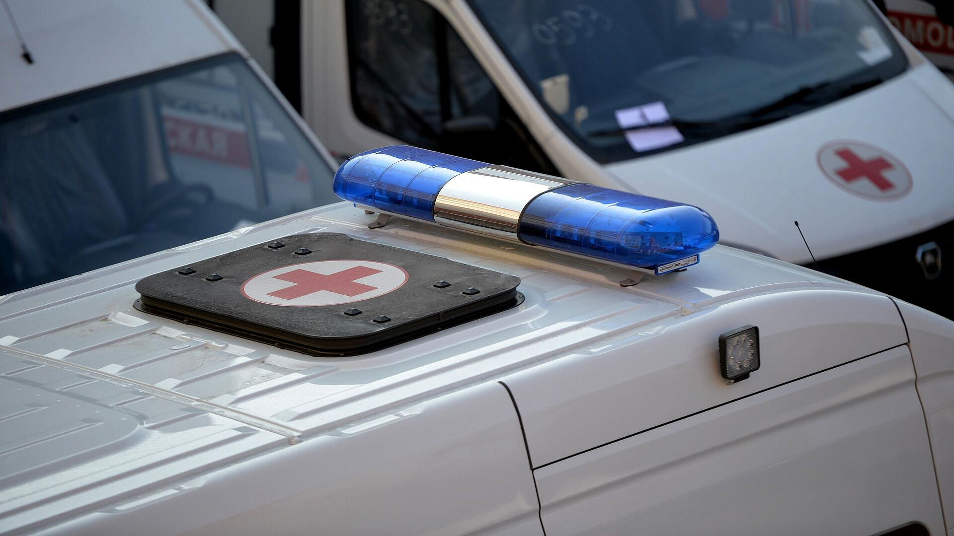 � ����� �������� ����������� � ���������, ���� ������� �����