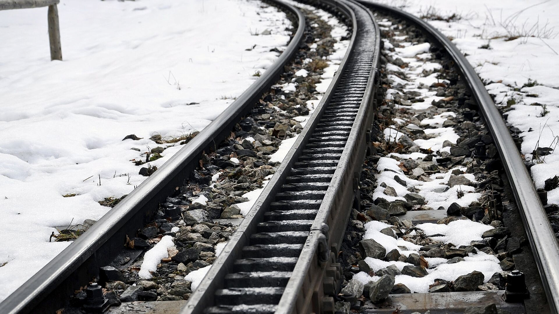 "���������� �������� ������" ������ �������� ���� ���� ���