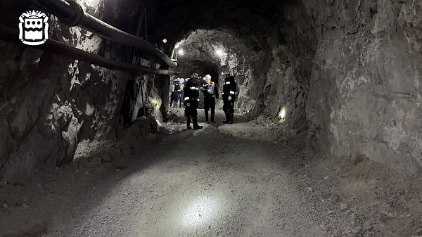 �������� �������� ������� "������", ��� ������� 13 ��������, �������� �����