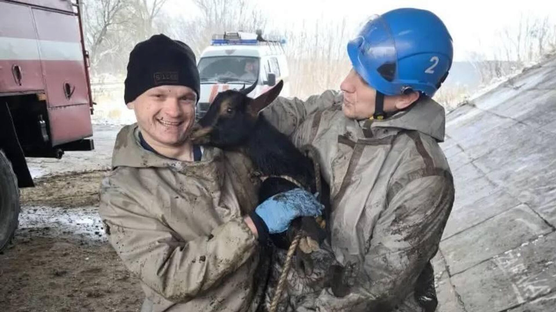 � ����� ������ ����, ������������� � ����������� ��� ��� ������