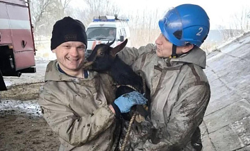 � ����� ������ ����, ������������� � ����������� ��� ��� ������