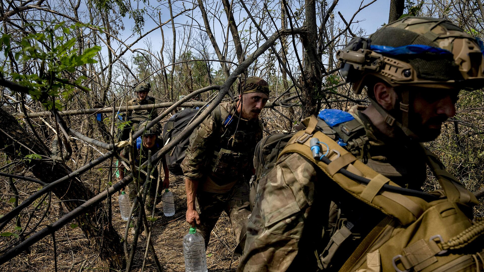 ��� �������� ���������� ����������� ������ �� ��������������� �����������