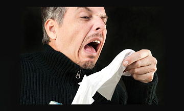 Врач предупредила москвичей о пике аллергии