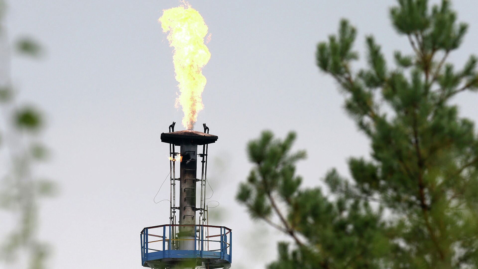 ������� ��������� �������� ������� � ����� ����� �� ����������� "������"