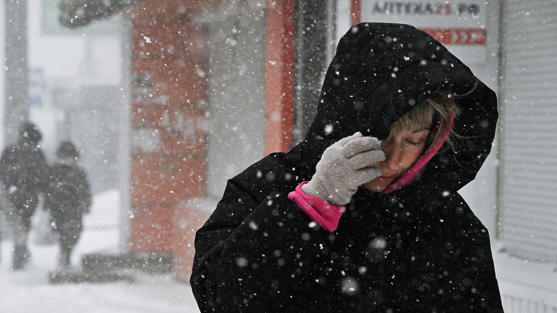 �� ������������ �� ����� ������ ����� �������� ����� �����