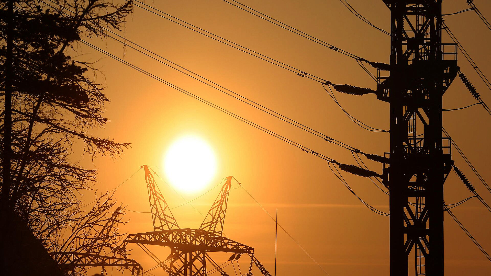 � ������ ����� ��������� ���������� ��������������