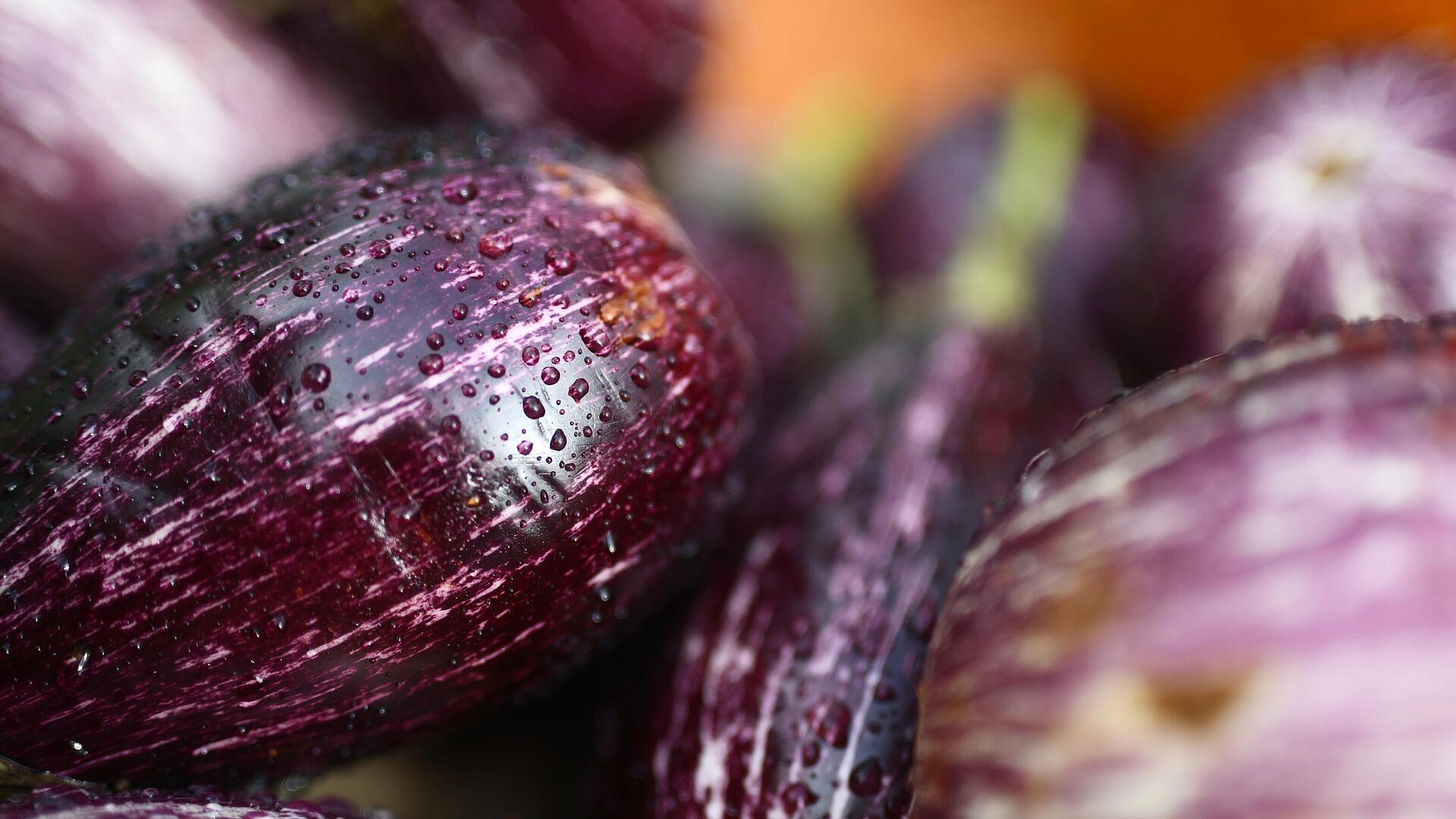 �������� � ����� �������� �������