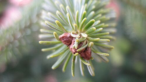 � ������ ������� � ������������ ��������� �� ���� ����