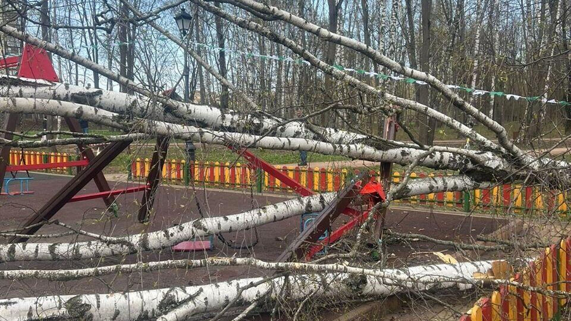 В Красногорске дерево упало на ребенка на детской площадке