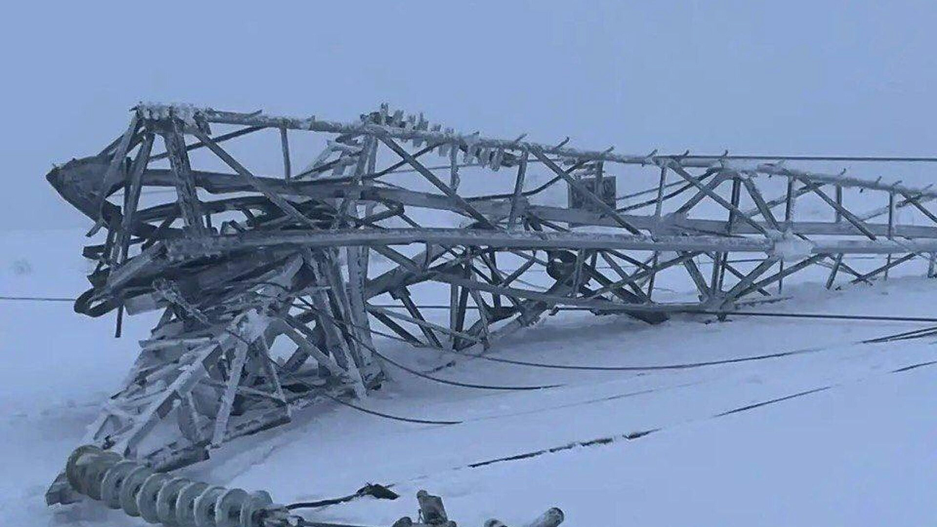 � ���������� ������� ���������� ������ �� ���� ������������ ���� ���