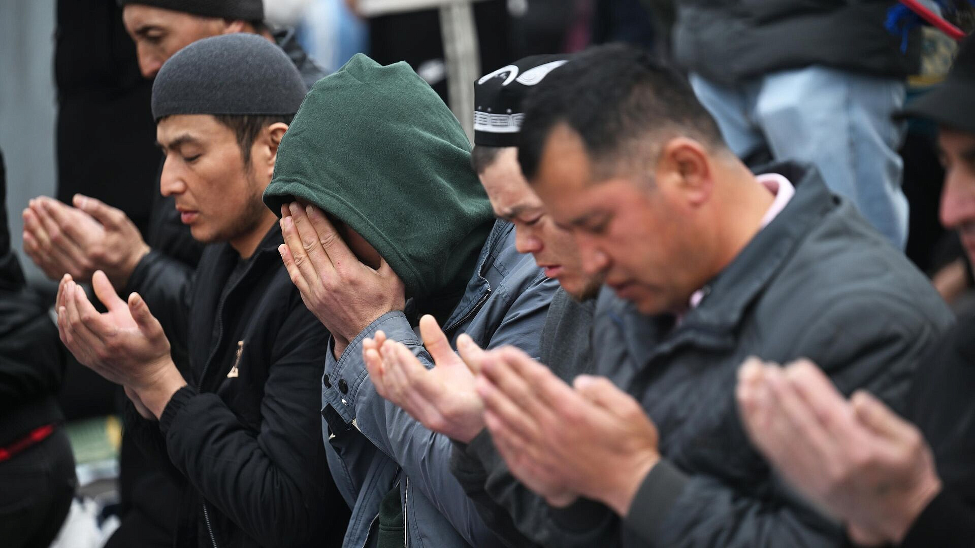 ����������� � ������������ ������ ������ �������� ������ "����� ��������"