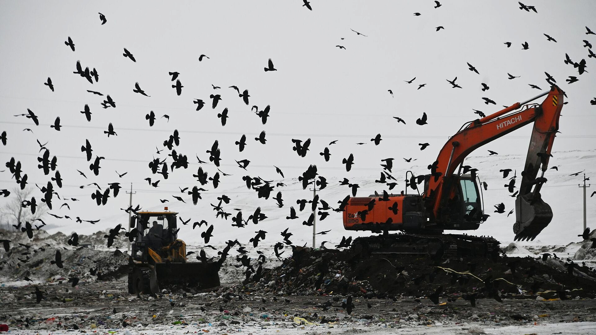 ����� ������� ���������� ������ ���������� ������