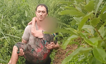 В Нижнем Новгороде спасли пенсионерку, увязшую в болоте