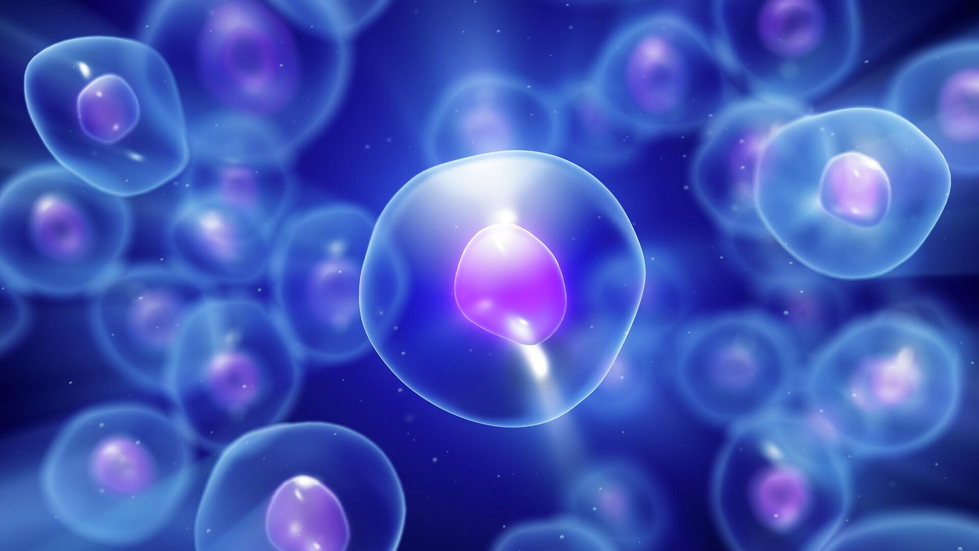 ��������� ������ ������� �������� ��� ��������� ���