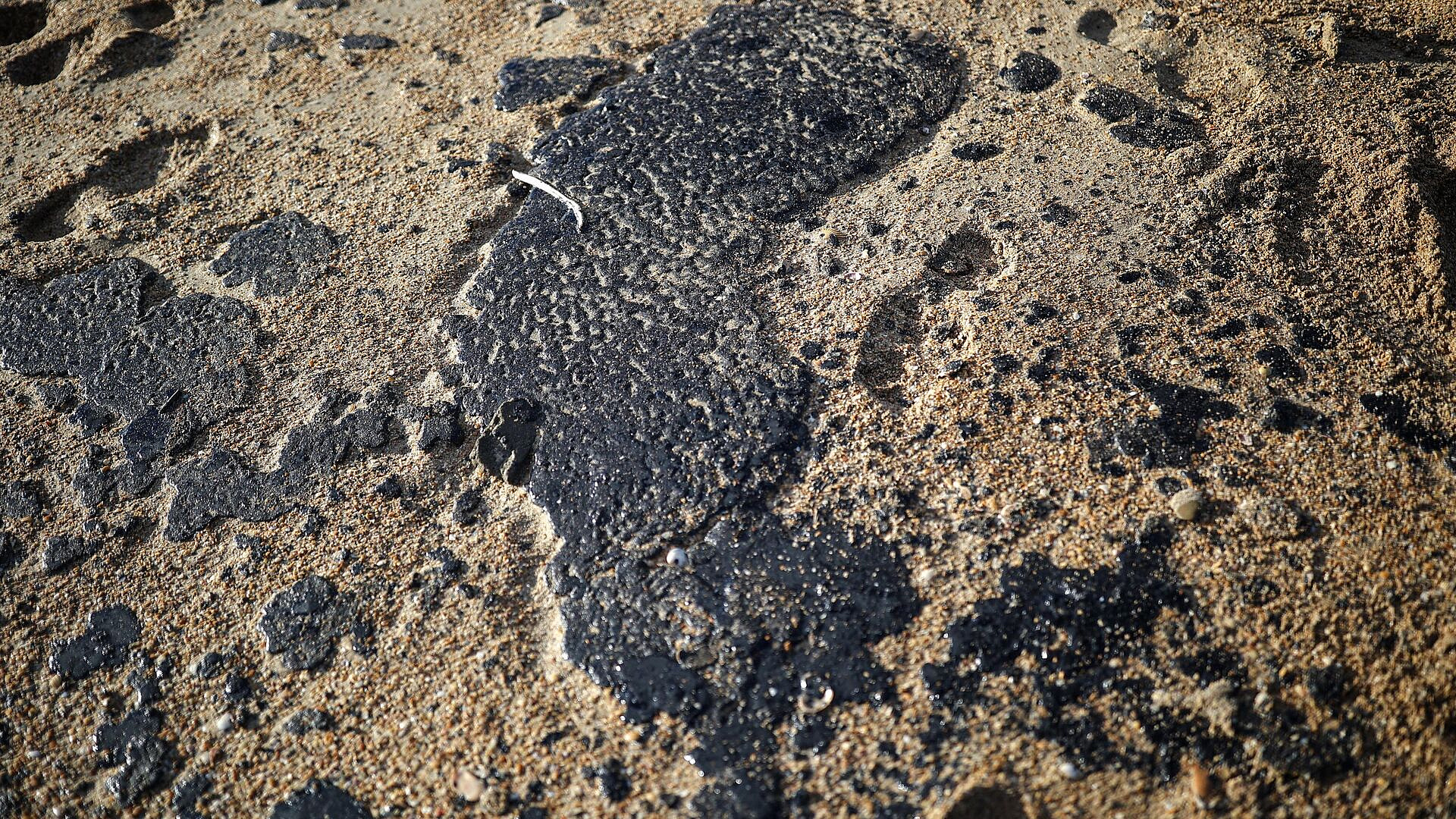 На Бердянской косе вновь выявили загрязнение мазутом