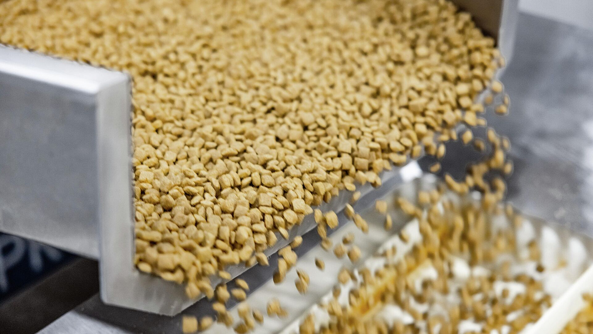 Стали известны результаты трех дней работы маркировки корма для животных