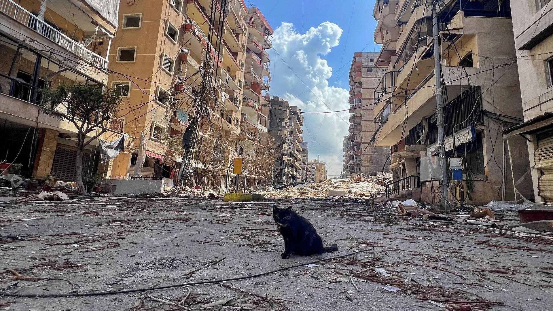 "Очень умно". В США пожаловались, что Иран их обманул