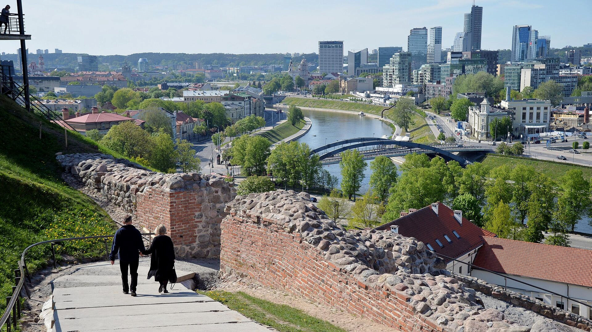 В Литве второй раз подряд не удалось изменить статью о двойном гражданстве
