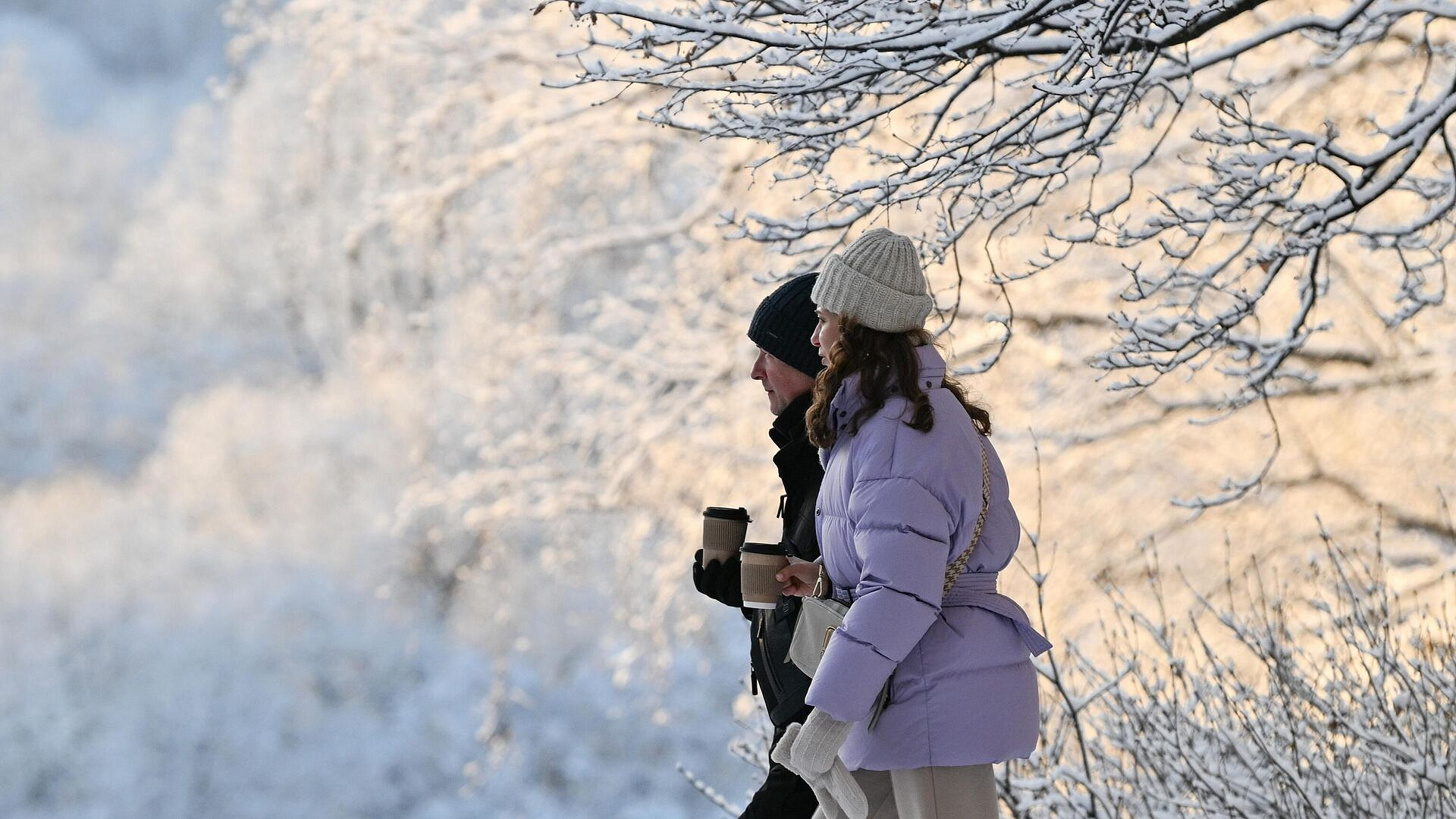 ���� ���������, ������ �� ������ ����������� ����� ������ �������� ����