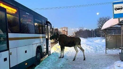 � ����������� ���� ��������� ����� � �������