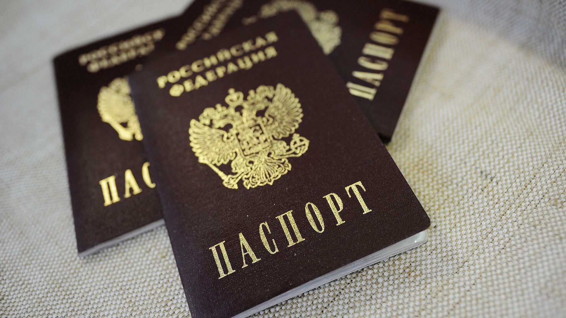 В Госдуме предложили упростить восстановление паспорта при ошибке